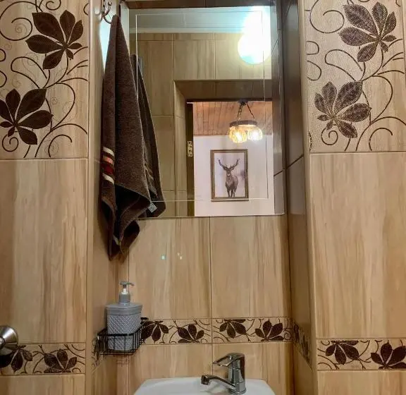 اتاق استاندارد, ніч над карпатами