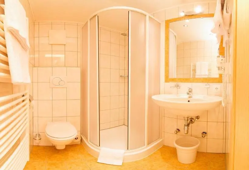 Standard Yhden Hengen Huone, Pension Sonnleitn