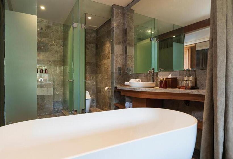 带观景的标准间, Adiwana Bisma