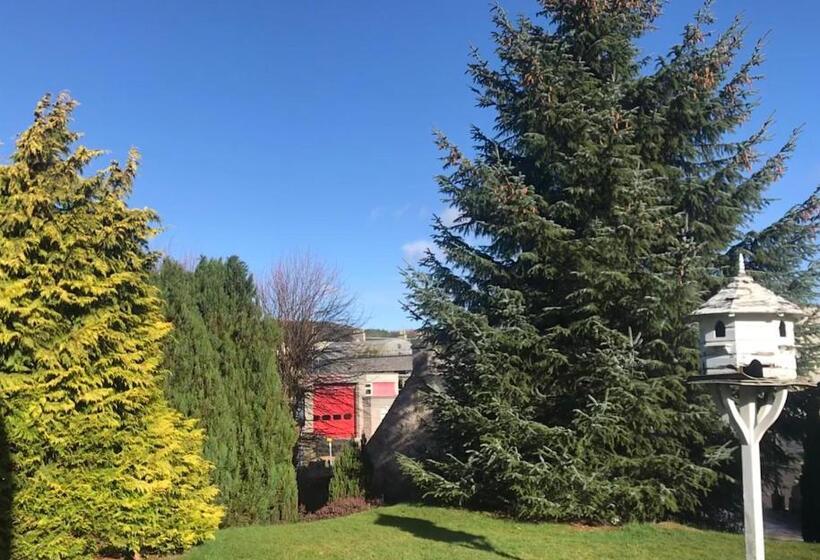 Номер Стандарт, Garden Park Guest House