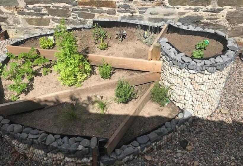 Номер Superior, Garden Park Guest House