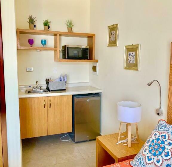 バルコニー付きデラックスルーム, La Casa De Los Alcatraces