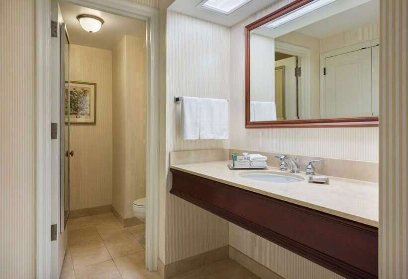 Deluxe Kamer, Hilton San Francisco Airport Bayfront