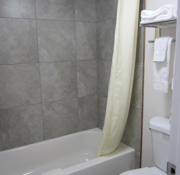 غرفة قياسية سرير كينج, Lantern Inn & Suites  Sarasota