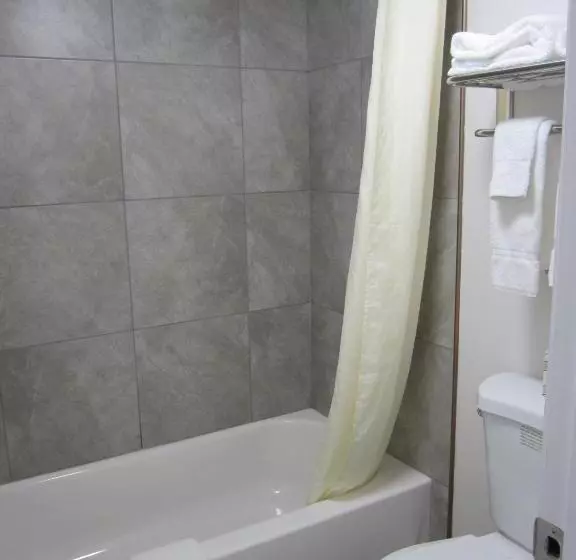 キングサイズベッドのスタンダードルーム, Lantern Inn & Suites  Sarasota