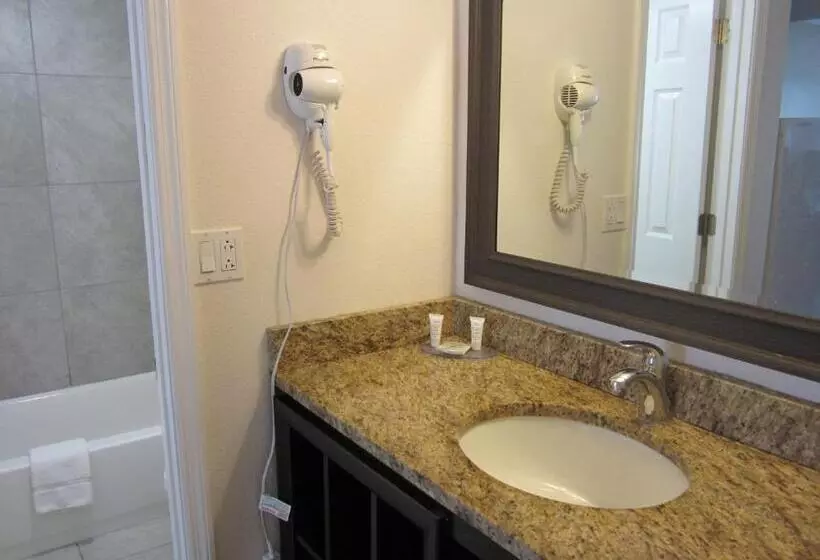 デラックスルーム, Lantern Inn & Suites  Sarasota