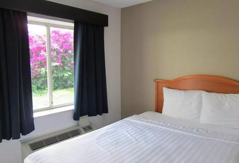 キングサイズベッドのデラックスルーム, Lantern Inn & Suites  Sarasota