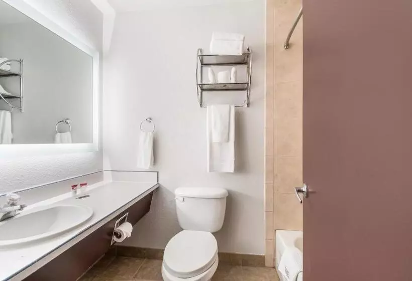 キングサイズベッドのスタンダードルーム, Red Lion Inn & Suites Vancouver