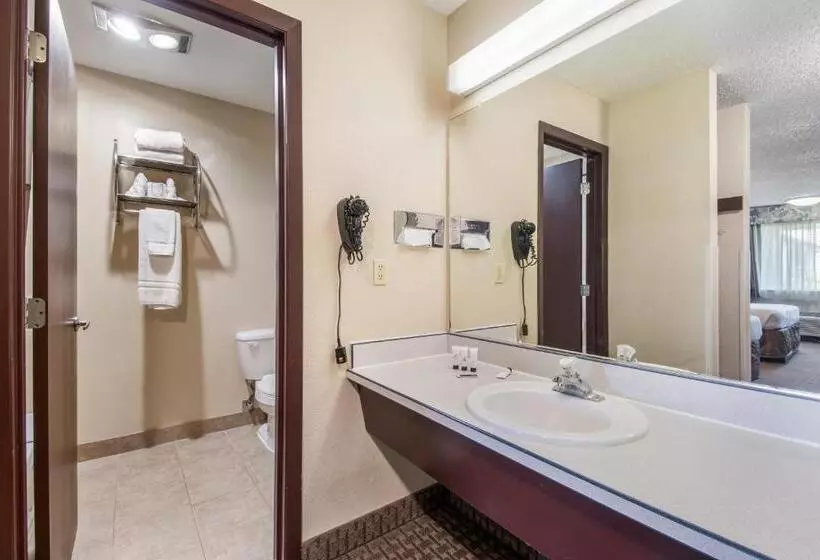 スタンダードルーム, Red Lion Inn & Suites Vancouver