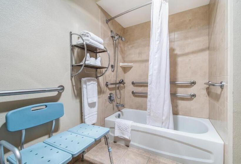 Engelliler için Büyük Çift Kişilik Yataklı Standart Oda, Red Lion Inn & Suites Vancouver