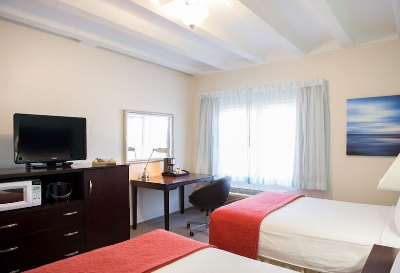 2ダブルベッドのスタンダードルーム, Sheldon