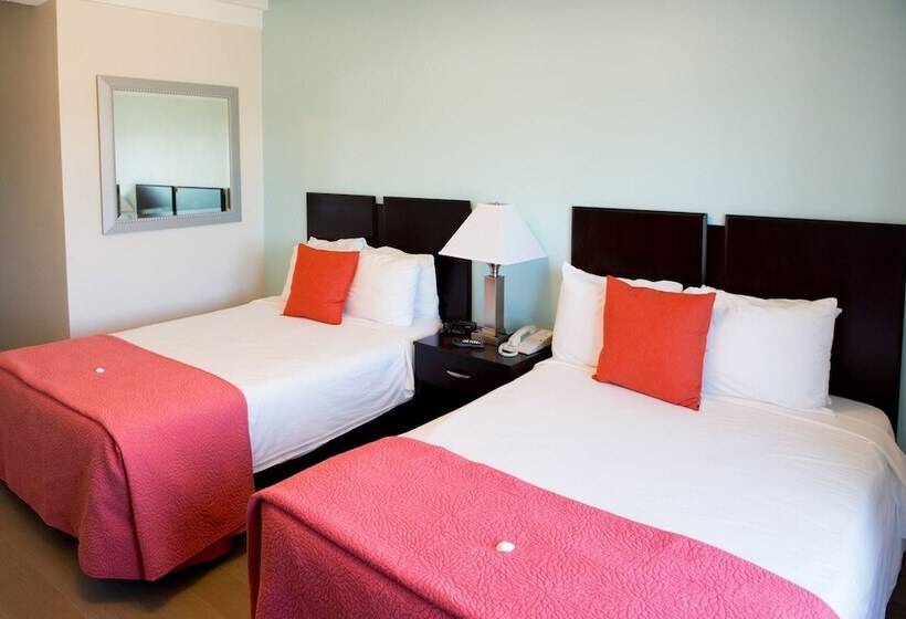 2ダブルベッドのスタンダードルーム, Sheldon