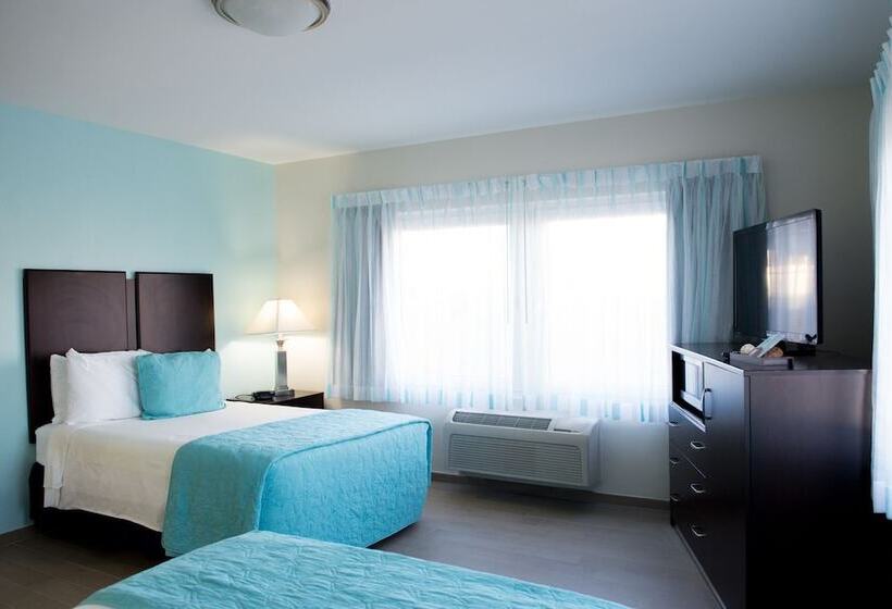 2ダブルベッドのスタンダードルーム, Sheldon