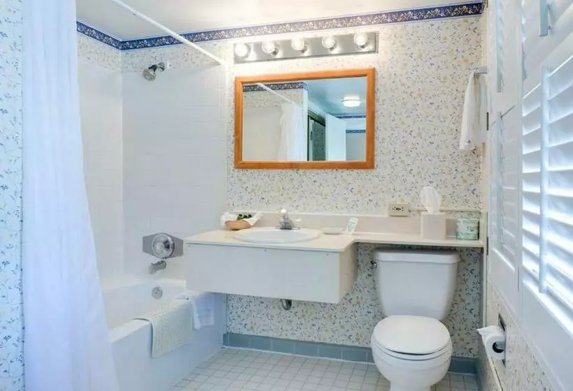 اتاق استاندارد با تخت بزرگ, Saga Motor Hotel Pasadena