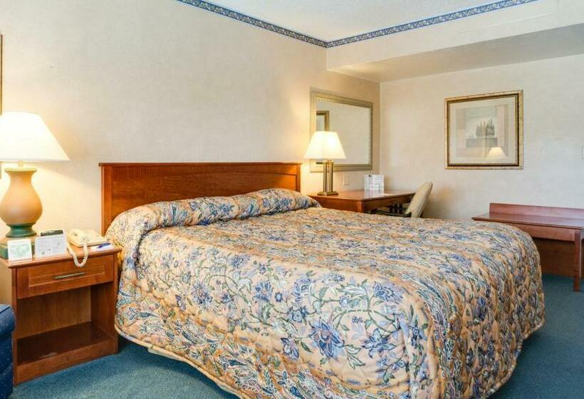 带大床的标准间, Saga Motor Hotel Pasadena