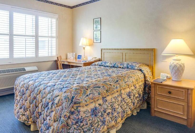 غرفة قياسية سرير مزدوج, Saga Motor Hotel Pasadena