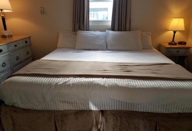 带大床的标准间, Sea Cliff House Motel