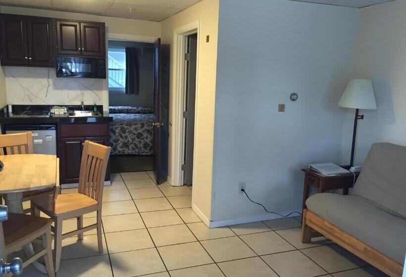 اتاق استاندارد با تخت بزرگ, Sea Cliff House Motel