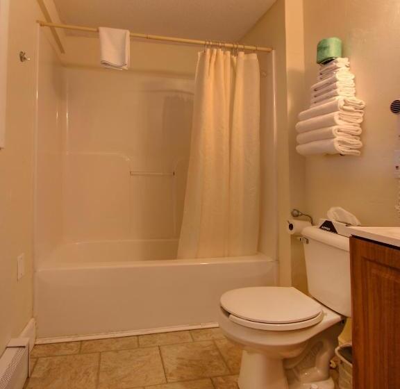 带大床的套房, Sea Cliff House Motel