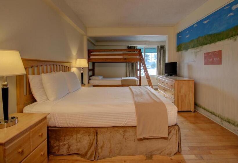 带大床的套房, Sea Cliff House Motel