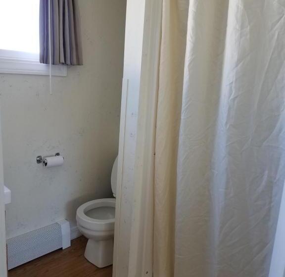 带大床的标准工作室, Sea Cliff House Motel