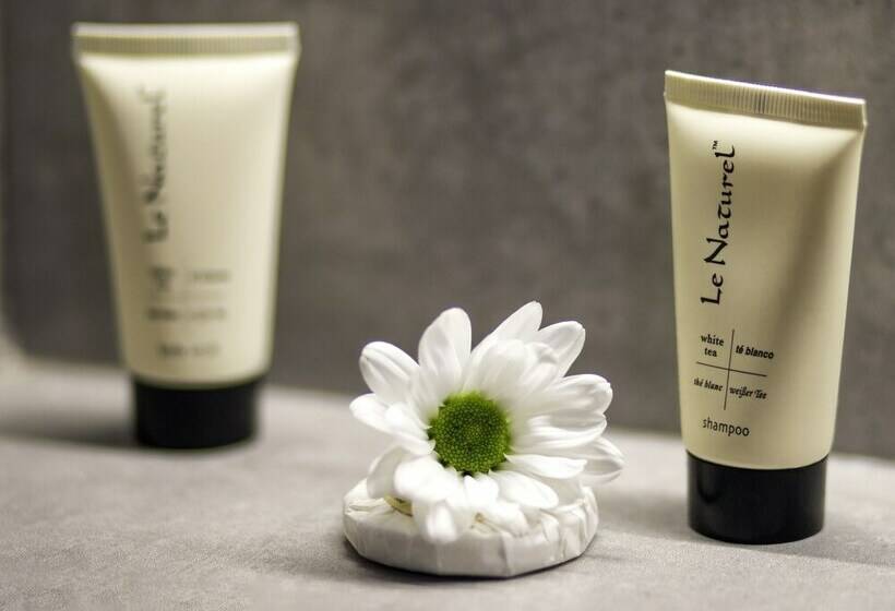 اتاق سوپریور, Blessed