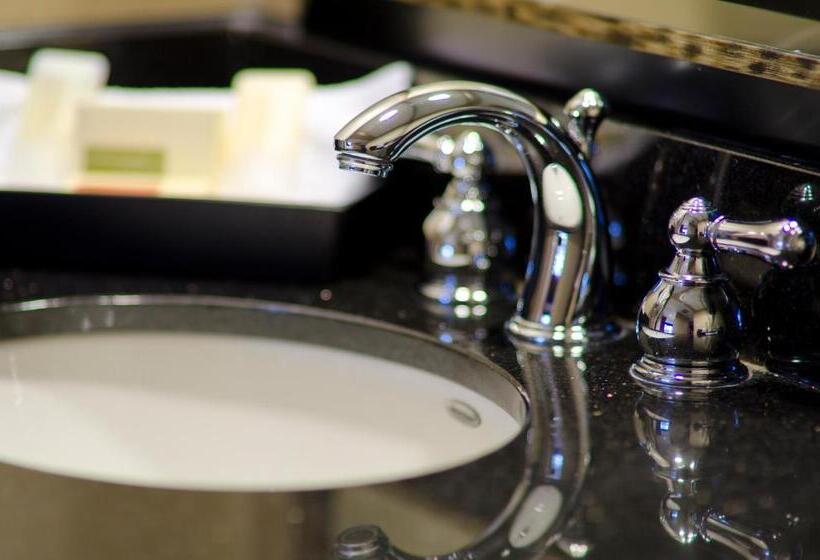 キングサイズベッドのスタンダードルーム, 43 Boise