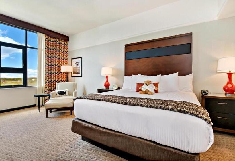 身障者適用キングサイズベッドルーム, 43 Boise