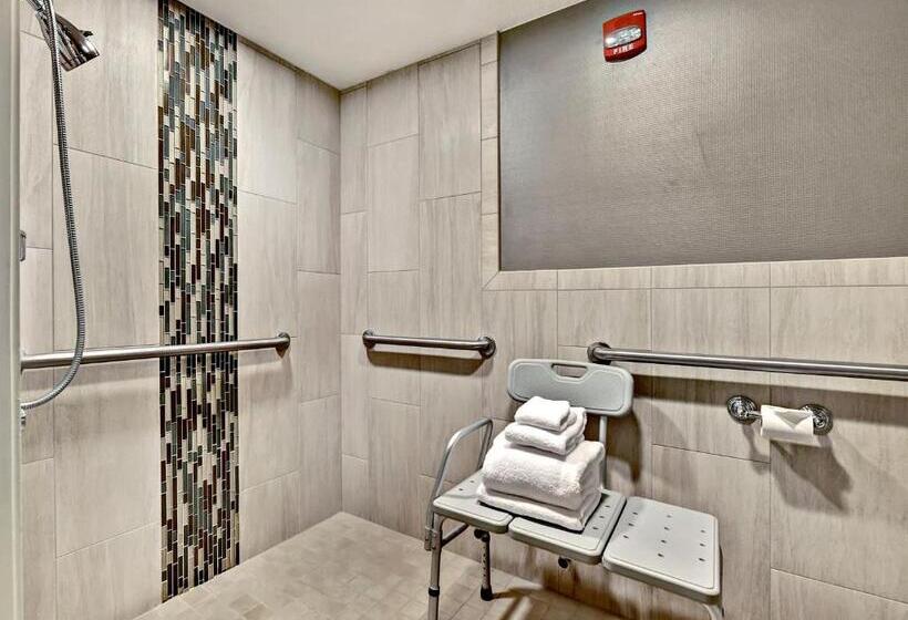 身障者適用スタンダードルーム, 43 Boise