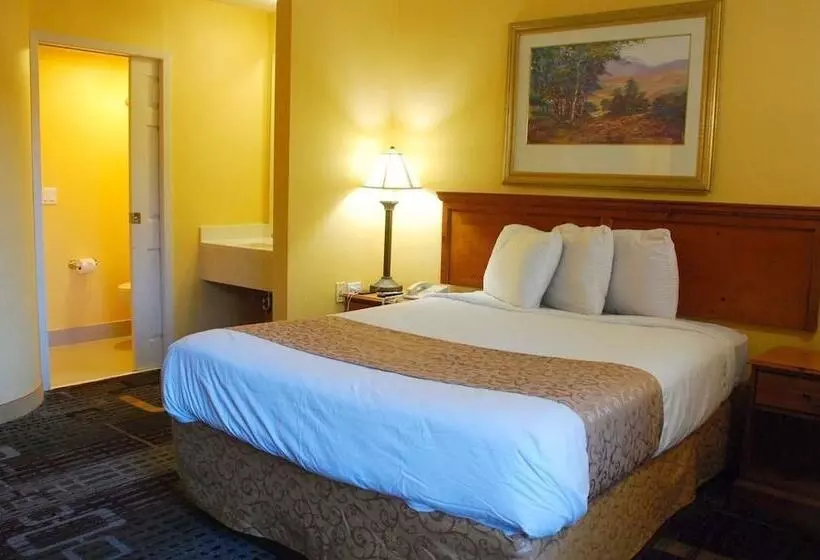 Standard Room 2 Double Beds