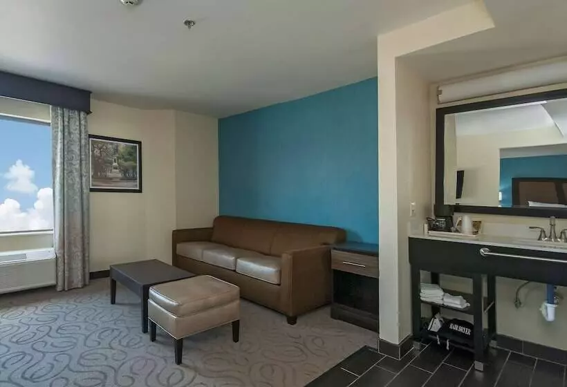 スイート, Best Western Travelers Rest/greenville