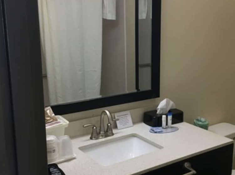 带2个双人床的标准工作室, Best Western Travelers Rest/greenville