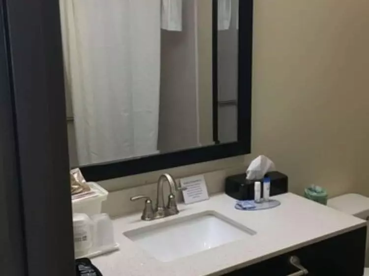 ２ダブルベッドのスタンダードルーム, Best Western Travelers Rest/greenville