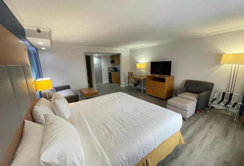 스위트 킹사이즈 침대, Comfort Inn & Suites Houston I10 West Energy Corridor