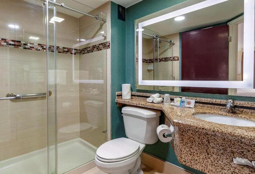 스위트 킹사이즈 침대, Comfort Inn & Suites Houston I10 West Energy Corridor