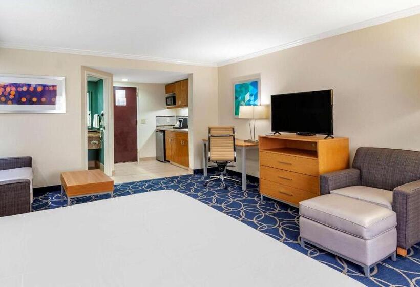 스위트 킹사이즈 침대, Comfort Inn & Suites Houston I10 West Energy Corridor