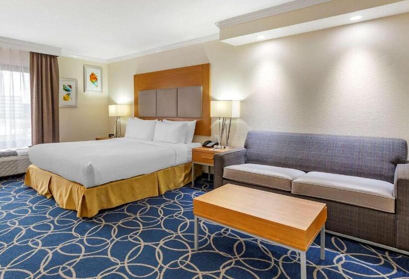 스위트 킹사이즈 침대, Comfort Inn & Suites Houston I10 West Energy Corridor