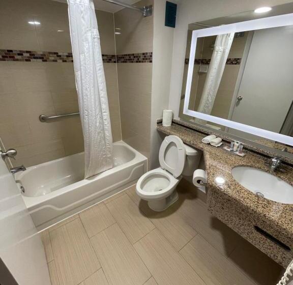 스탠다드 룸 킹사이즈 침대, Comfort Inn & Suites Houston I10 West Energy Corridor