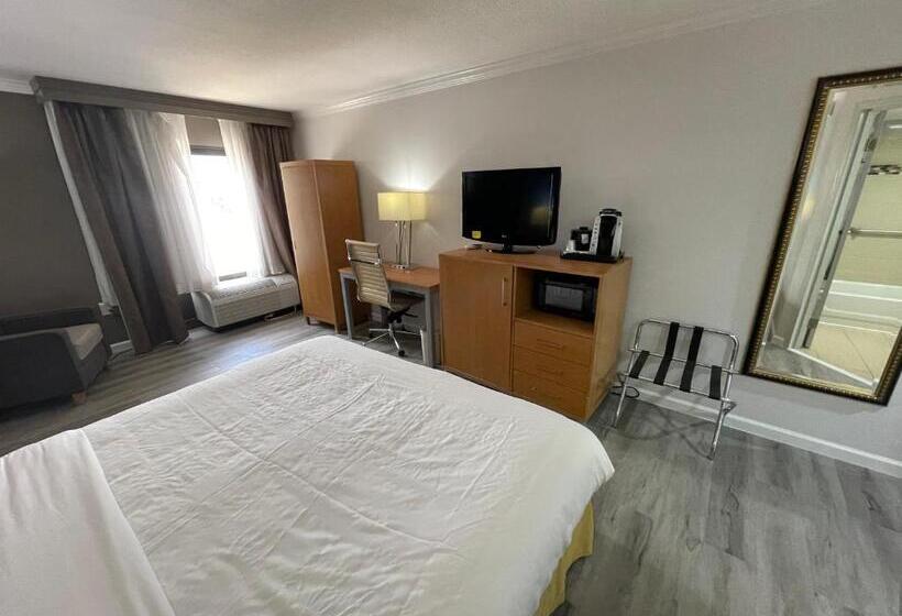 스탠다드 룸 킹사이즈 침대, Comfort Inn & Suites Houston I10 West Energy Corridor