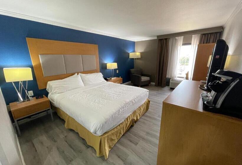 اتاق استاندارد با تخت بزرگ, Comfort Inn & Suites Houston I10 West Energy Corridor