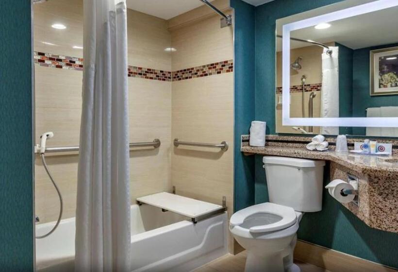 장애인을 위한 킹사이즈 침대 스탠다드 룸, Comfort Inn & Suites Houston I10 West Energy Corridor