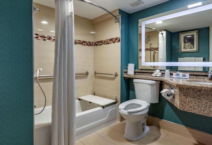 اتاق استاندارد با تخت بزرگ برای معلولان, Comfort Inn & Suites Houston I10 West Energy Corridor