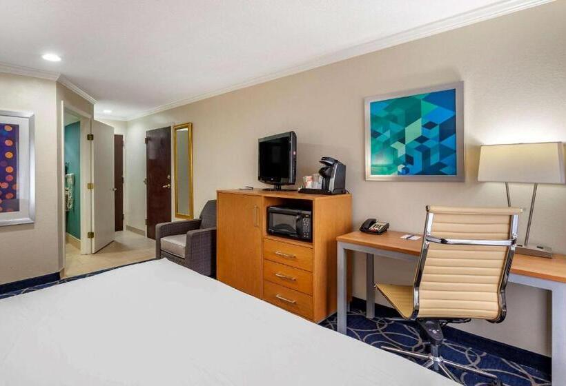 장애인을 위한 킹사이즈 침대 스탠다드 룸, Comfort Inn & Suites Houston I10 West Energy Corridor