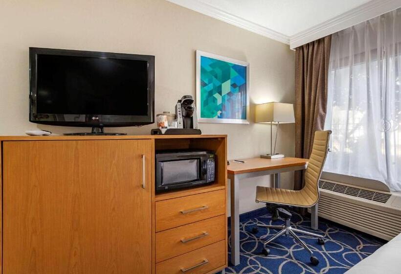 장애인을 위한 킹사이즈 침대 스탠다드 룸, Comfort Inn & Suites Houston I10 West Energy Corridor