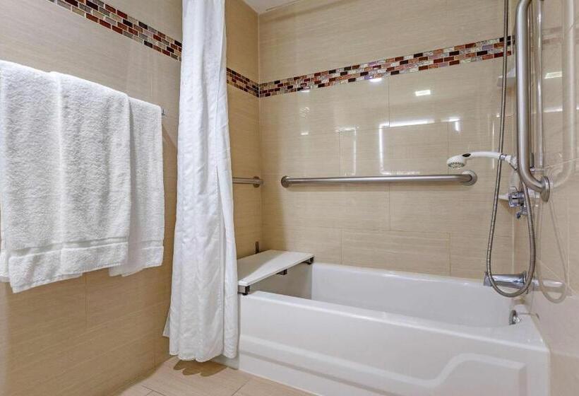 اتاق استاندارد با تخت بزرگ برای معلولان, Comfort Inn & Suites Houston I10 West Energy Corridor