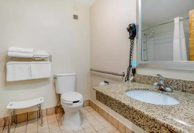 身障者適用スタンダードルーム, Quality Inn Fort Wayne