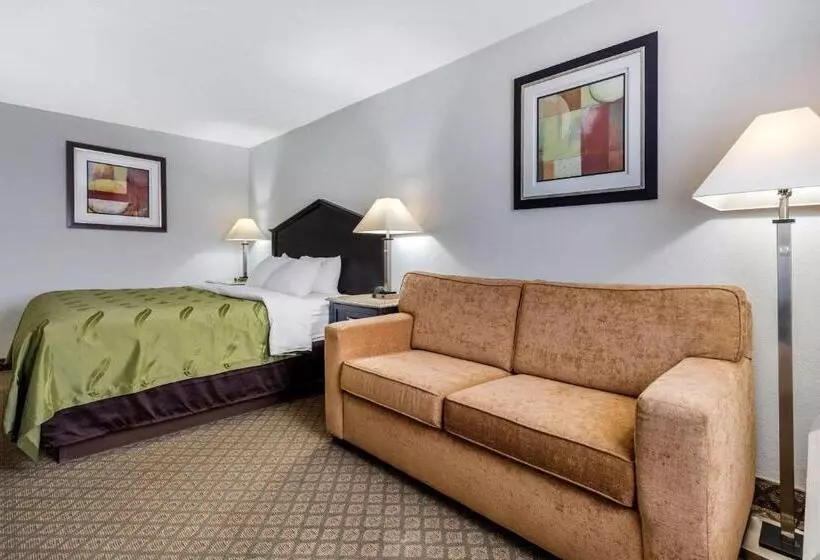 身障者適用キングサイズベッドルーム, Quality Inn Fort Wayne