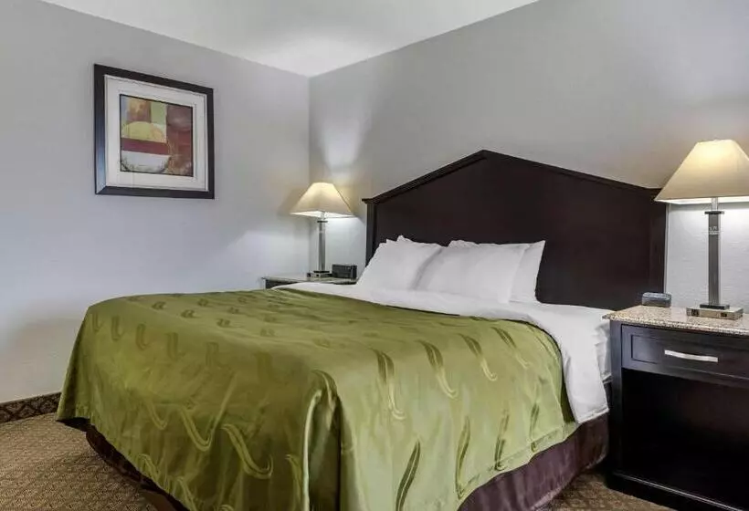 身障者適用キングサイズベッドルーム, Quality Inn Fort Wayne