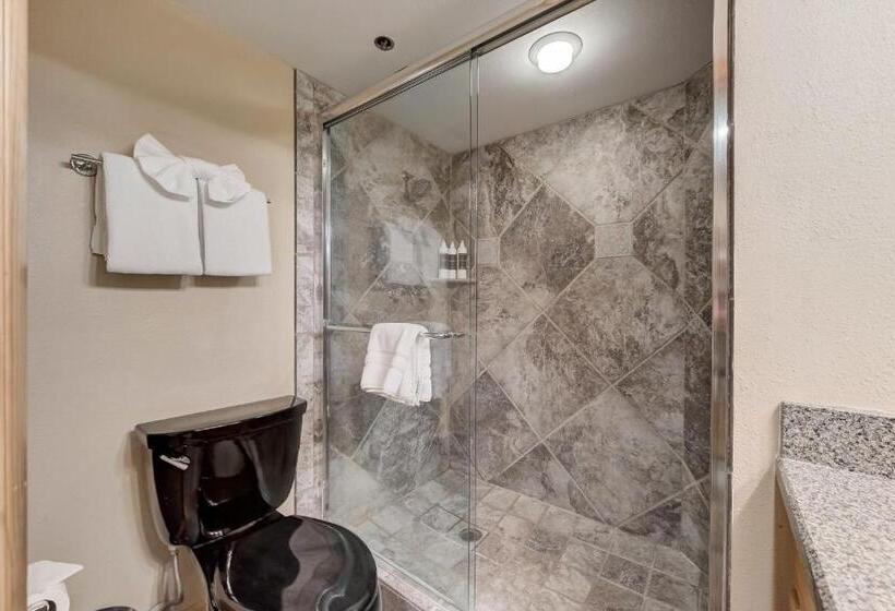 １ベッドルームのデラックスアパートメント, Silver King By All Seasons Resort Lodging