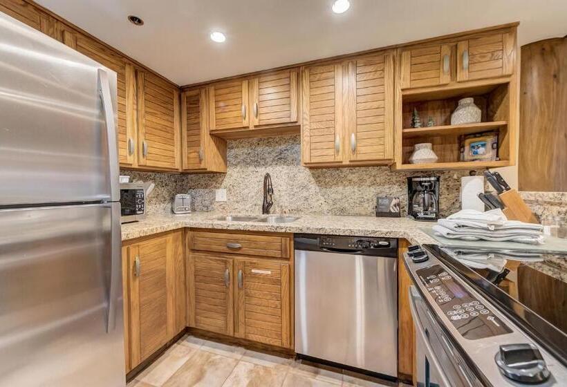 １ベッドルームのデラックスアパートメント, Silver King By All Seasons Resort Lodging